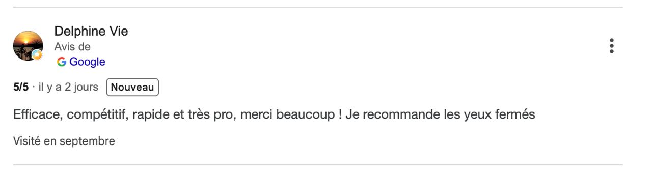 Capture originale de l’avis Google de Delphine Vie, 5 sur 5